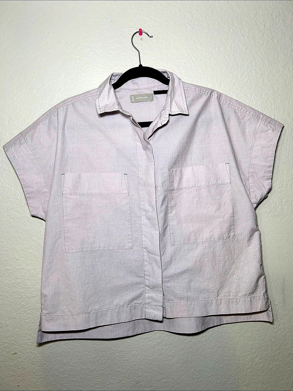 Everlane The Short-Sleeve Box Shirt Button Down Pink Size Small